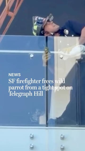 @sfgate's Instagram post posted on date 8/31/2026 which generated 4504 likes and 114 comments