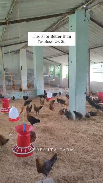 @shreshtafarm's Instagram post posted on date 10/2/2026 which generated 14 likes and 0 comments