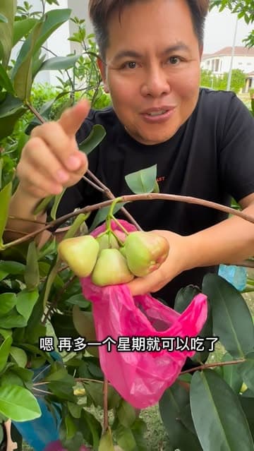 @tanchiayong73's Instagram post posted on date 8/4/2026 which generated 541 likes and 17 comments