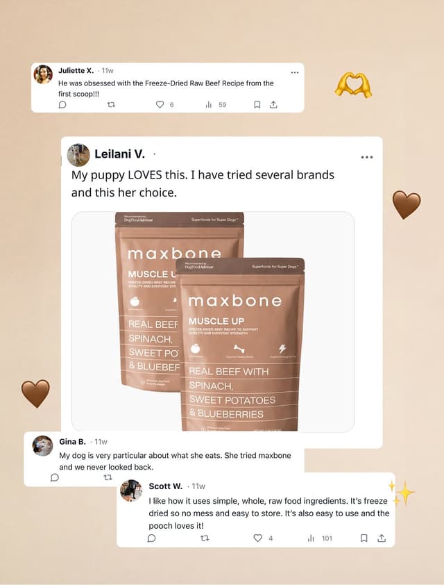 @themaxbone's Instagram post posted on date 9/16/2026 which generated 3 likes and 0 comments