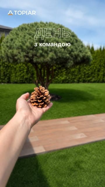 @topiar.ua's Instagram post posted on date 7/20/2026 which generated 33 likes and 3 comments