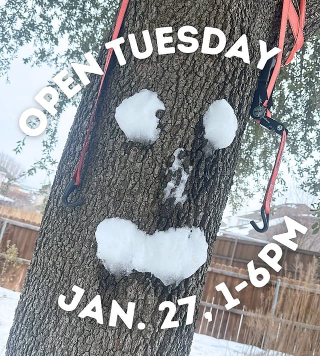 @uptownaddison's Instagram post posted on date 1/27/2026 which generated 5 likes and 0 comments