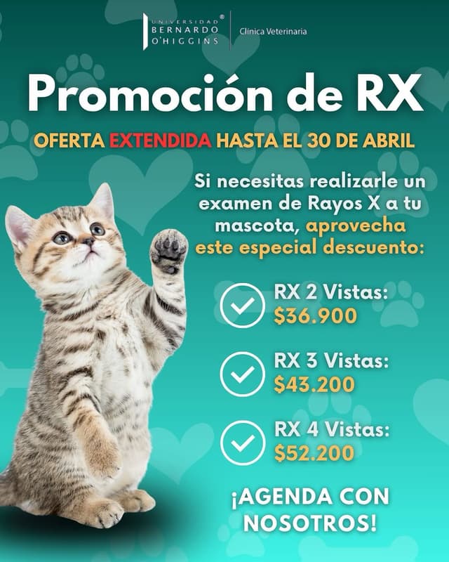 @veterinariaubo's Instagram post posted on date 4/16/2026 which generated 24 likes and 0 comments