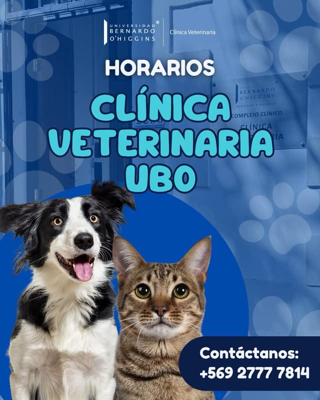 @veterinariaubo's Instagram post posted on date 7/15/2026 which generated 54 likes and 0 comments