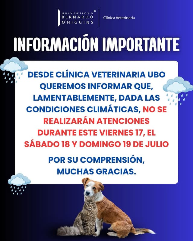 @veterinariaubo's Instagram post posted on date 7/17/2026 which generated 41 likes and 0 comments