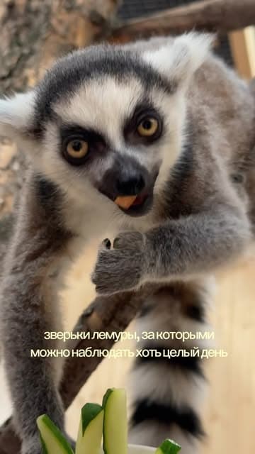 @victoriya_shepotkina's Instagram post posted on date 9/22/2026 which generated 4945 likes and 231 comments