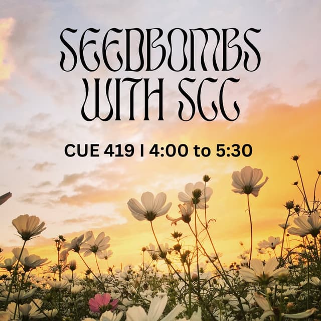 @wsu.scc's Instagram post posted on date 3/2/2024 which generated 13 likes and 0 comments
