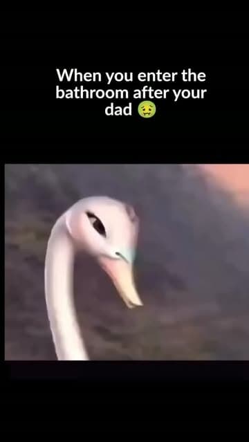 @zeroodor's Instagram post posted on date 7/29/2026 which generated 12 likes and 0 comments