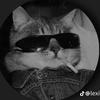nebula_myuki's TikTok profile picture