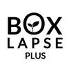 boxlapseplus's TikTok profile picture