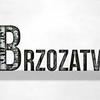 brzozatv's TikTok profile picture